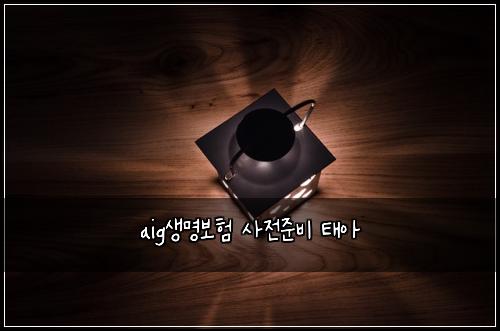 aig생명보험 사전준비  태아
