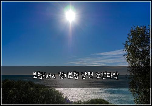 보험data 정기보험 남편 조건파악
