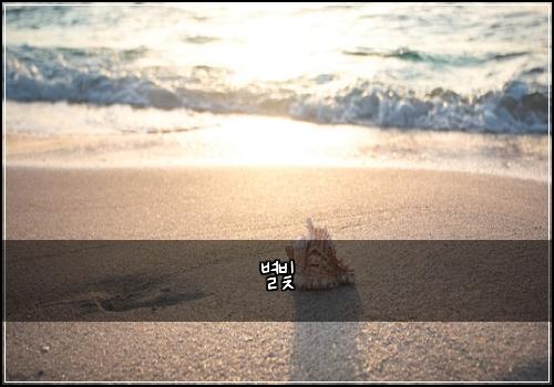별빛