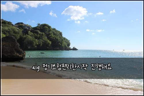 aig 정기보험편리한시작 진행해요