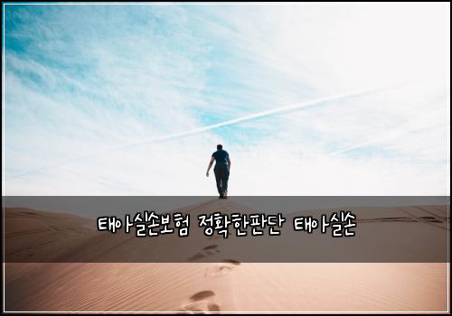 태아실손보험 정확한판단  태아실손