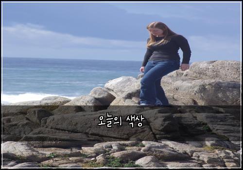 오늘의 색상