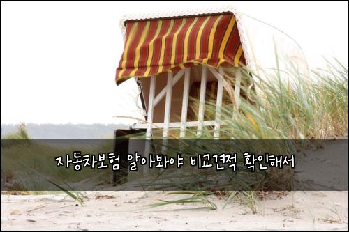 자동차보험 알아봐야  비교견적 확인해서