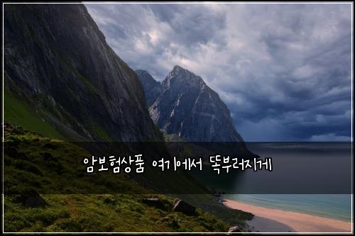 암보험상품 여기에서 똑부러지게