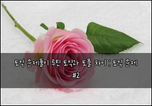 토익 문제풀이 루틴 토익과 토플 차이 : 토익 문제 #2