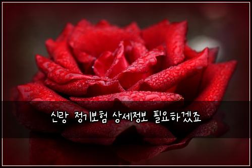 신랑 정기보험 상세정보  필요하겠죠