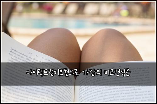 다이렉트정기보험으로 가장의 비교견적은