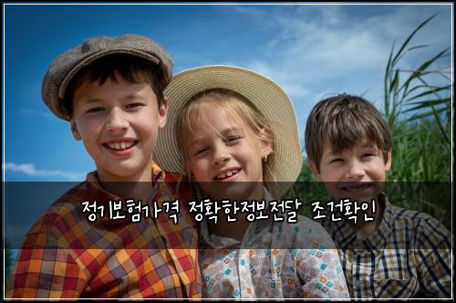 정기보험가격 정확한정보전달 조건확인