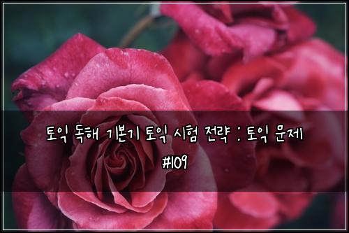 토익 독해 기본기 토익 시험 전략 : 토익 문제 #109