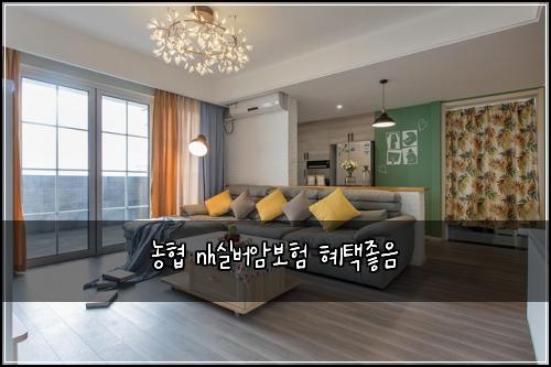 농협 nh실버암보험 혜택좋음 