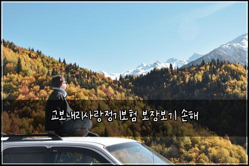 교보내리사랑정기보험 보장보기  손해