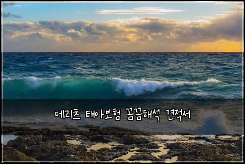 메리츠 태아보험 꼼꼼해석  견적서