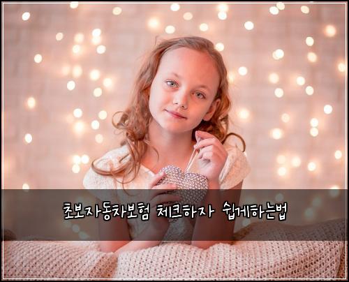 μ΄λ³΄μλ차보ν 체ν¬νμ μ½κ²νλλ²