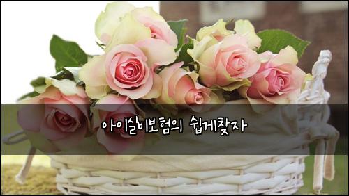 ์์ด์ค๋น๋ณดํ์ ์ฝ๊ฒ์ฐพ์
