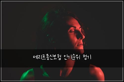 메리츠종신보험 인기순위  정기