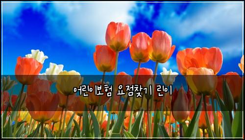 어린이보험 요점찾기  린이