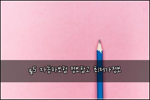 q5 자동차보험 정보참고  최저가정보