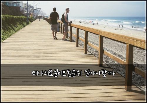 태아의료실비보험순위 얼마나할까