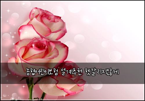 농협어린이보험 설계추천  헷갈리지않게