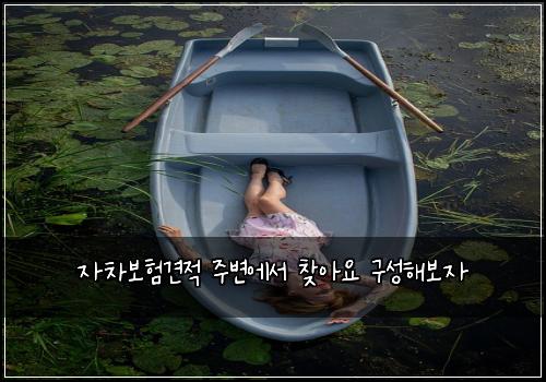 자차보험견적 주변에서 찾아요 구성해보자