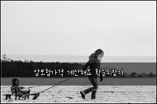 암보험가격 계산해요 확실히찾기