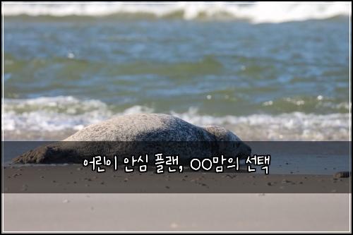 어린이 안심 플랜, OO맘의 선택