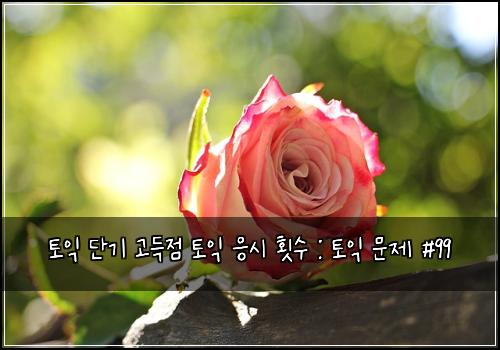 토익 단기 고득점 토익 응시 횟수 : 토익 문제 #99