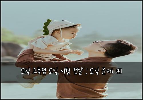 토익 고득점 토익 시험 전날 : 토익 문제 #11