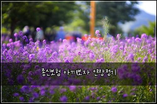 ์ข
์ ๋ณดํ ์๊ปด๋ณด์ ์ฐ์ฅ์ ๊ธฐ