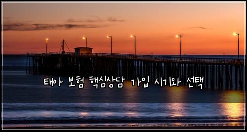 태아 보험 핵심상담  가입 시기와 선택