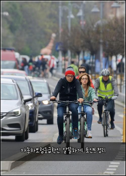 자동차보험등급확인 알뜰하게 포인트정리
