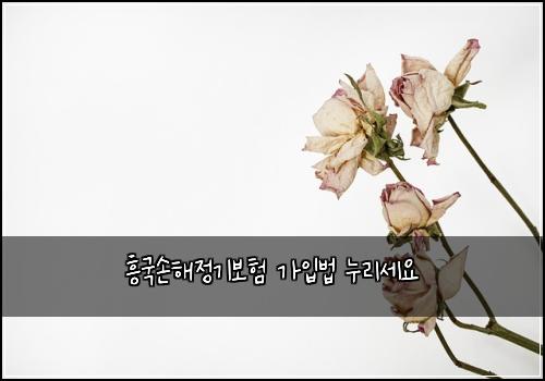흥국손해정기보험 가입법  누리세요