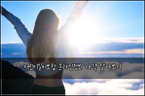์ด๋ฆฐ์ด์ค๋น๋ณดํ ์จ๋ผ์ธ์ ๋ณด ๊ฐ๊ฒฉ ์์๋ณด๊ธฐ