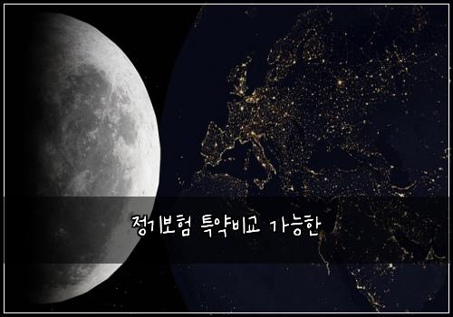 정기보험 특약비교  가능한