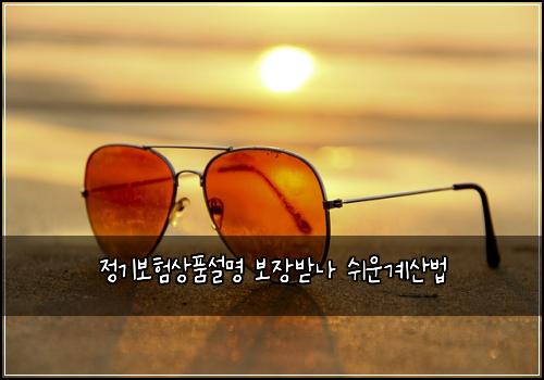 정기보험상품설명 보장받나 쉬운계산법