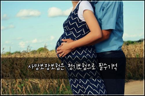 사망보장보험은 정기보험으로 필수기억