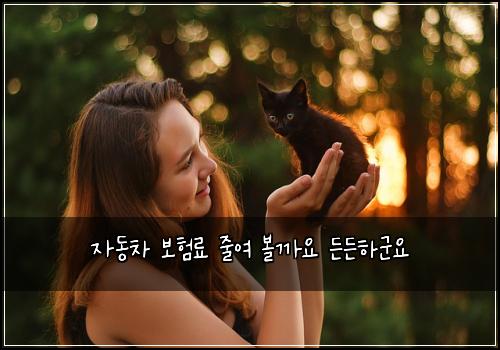 자동차 보험료 줄여 볼까요 든든하군요