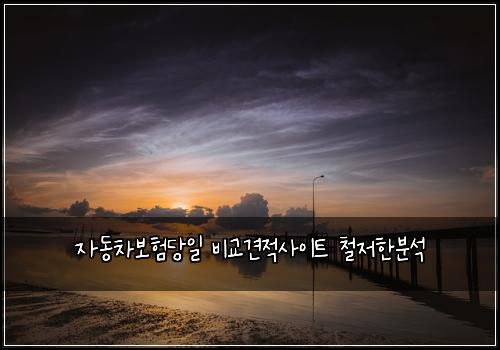 자동차보험당일 비교견적사이트 철저한분석
