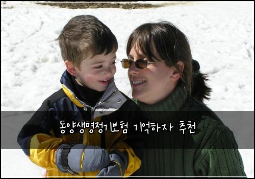 동양생명정기보험 기억하자  추천
