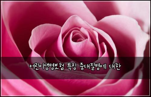 어린이생명보험 특징  중대질병에 대한