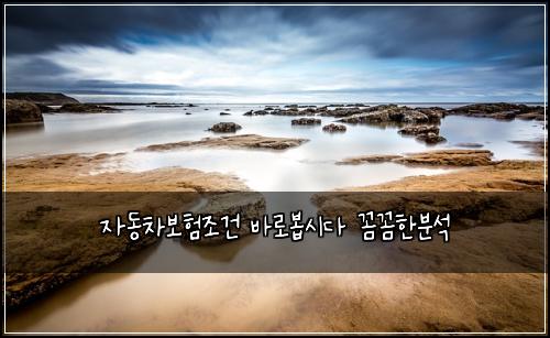 자동차보험조건 바로봅시다 꼼꼼한분석