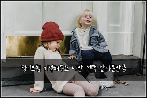 정기보험 기억해두죠  나만 선택 알아본만큼