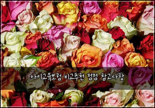 아이교육보험 비교추천  점점 참고사항