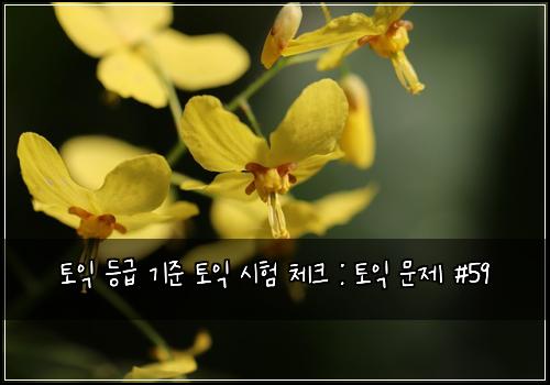 토익 등급 기준 토익 시험 체크 : 토익 문제 #59