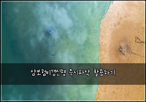 암보험비갱신형 즉시파악 활용하기