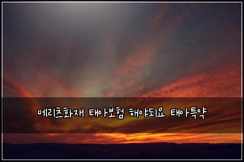 ๋ฉ๋ฆฌ์ธ ํ์ฌ ํ์๋ณดํ ํด์ผ๋์ ํ์ํน์ฝ