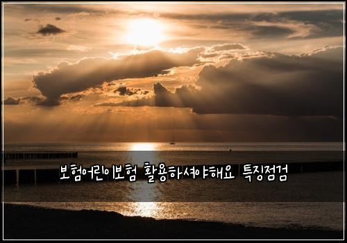 보험어린이보험 활용하셔야해요 특징점검
