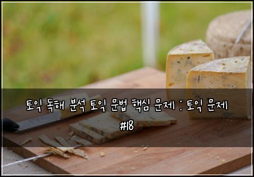 토익 독해 분석 토익 문법 핵심 문제 : 토익 문제 #18