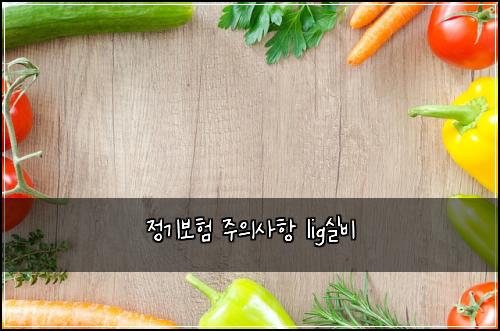 정기보험 주의사항  lig실비