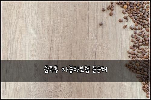 음주후 자동차보험 든든해 